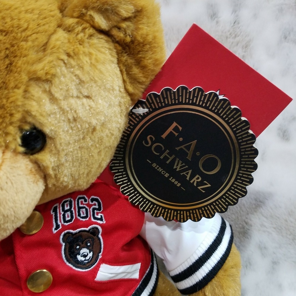 FAO Schwartz‎ Varsity Teddy Bear 12" Stuffed Animal Sealed Adoption Records Gift - Picture 3 of 8